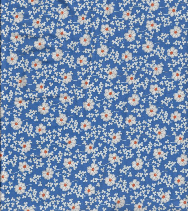 Scan 6